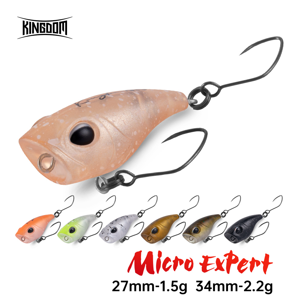 Kingdom Micro Expert Topwater  - مراجعة Fishing Lure Popper وسعره