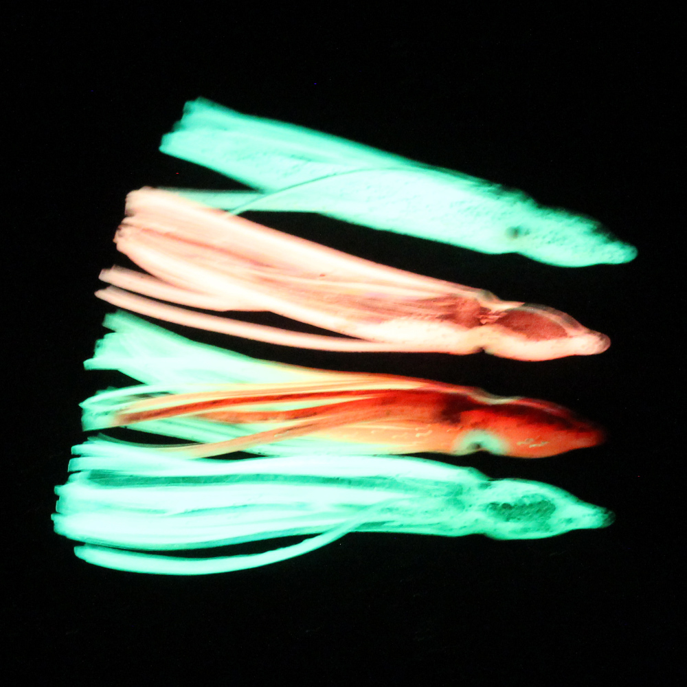 10 pcs soft light octopus squi - مراجعة Fishing Lure Buzzbait وسعره