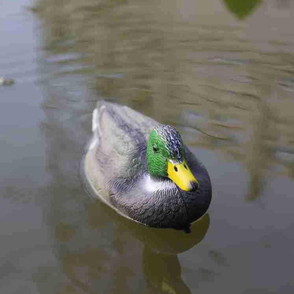 Outdoor Realistic Plastic Duck - مراجعة Fishing Lure Topwater وسعره